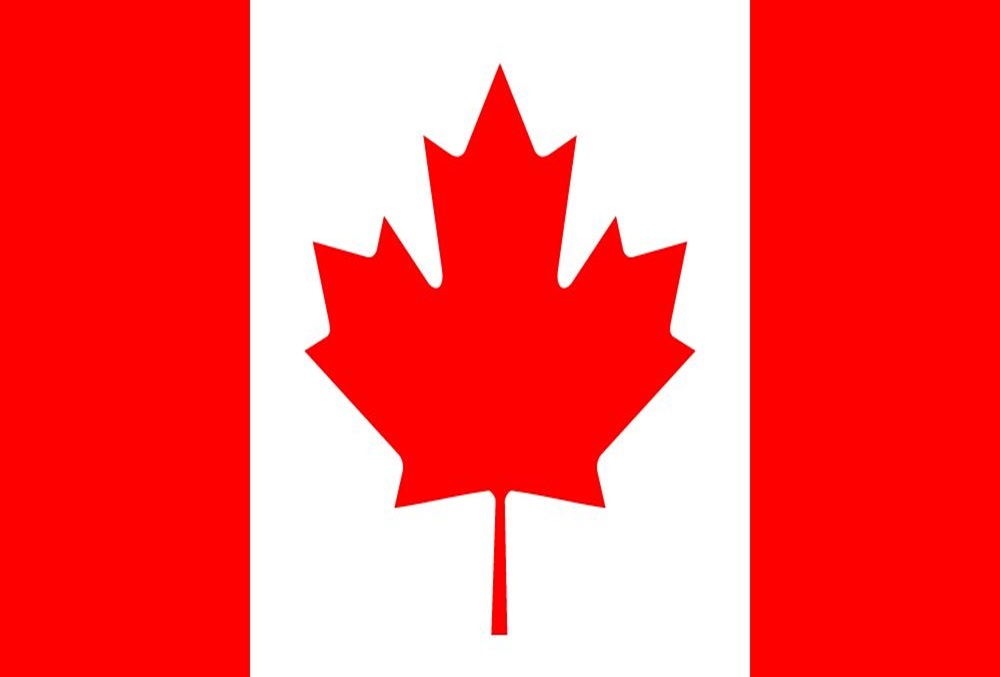 Lire l'avis sur LES JOYAUX DU LOUVRE 